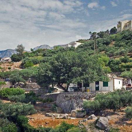 Villa " Davorka" 포드고라 외부 사진