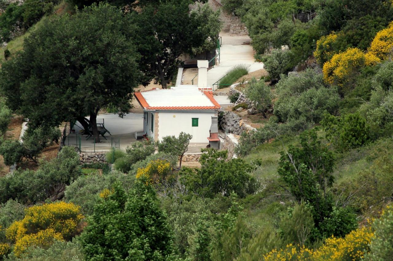 Villa " Davorka" 포드고라 외부 사진
