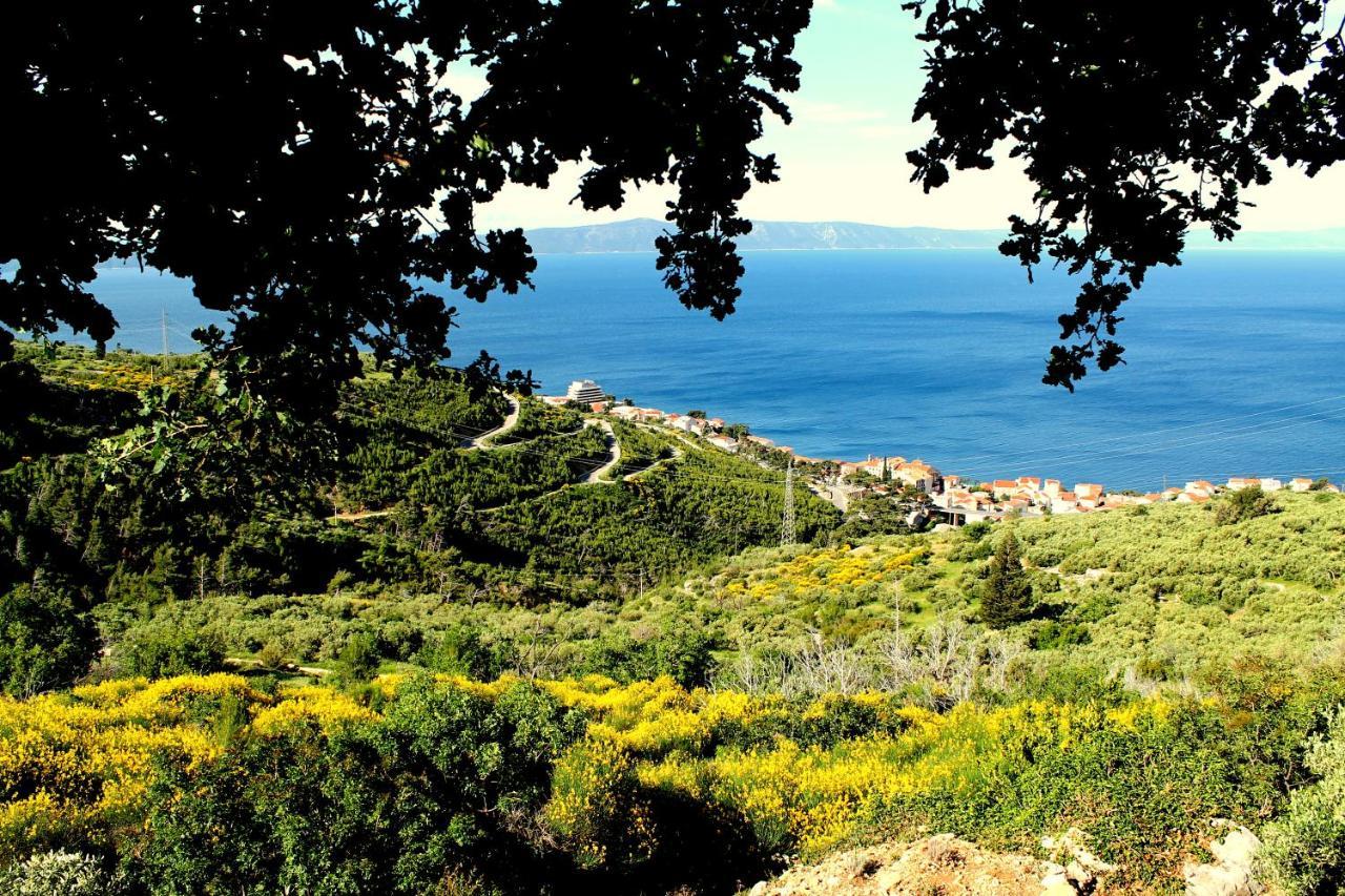 Villa " Davorka" 포드고라 외부 사진