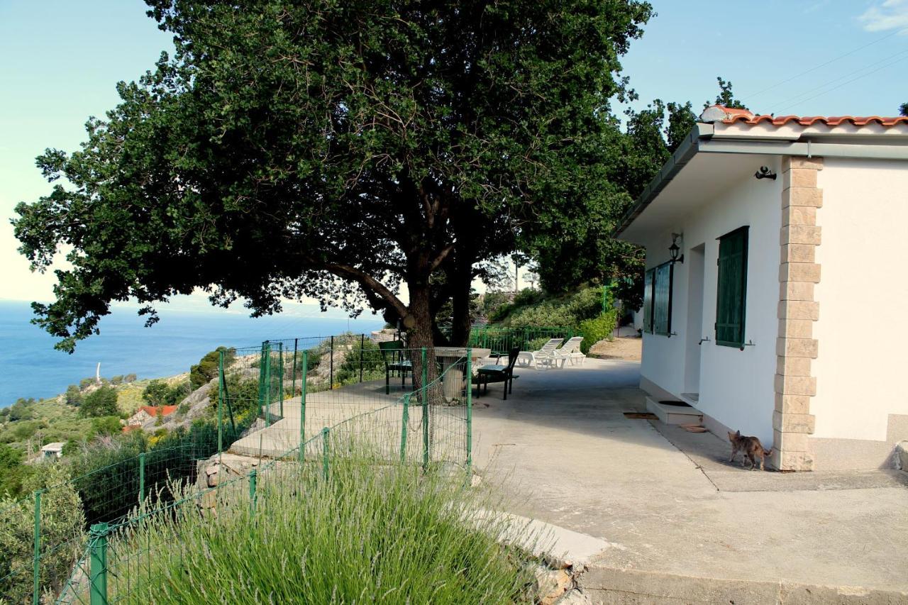 Villa " Davorka" 포드고라 외부 사진