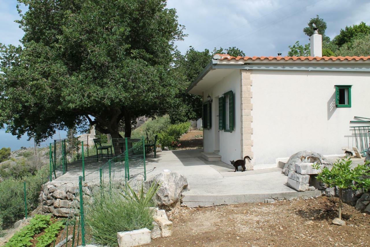 Villa " Davorka" 포드고라 외부 사진